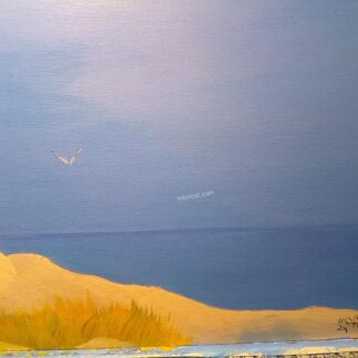 Sunny coast on the cape
