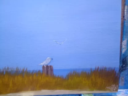 Cold Bird Cape Cod MA - Image 4